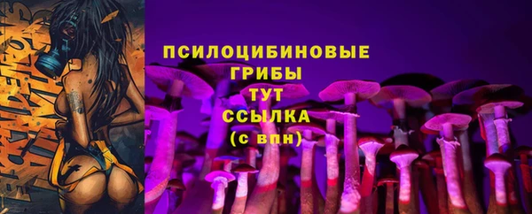 стафф Белокуриха